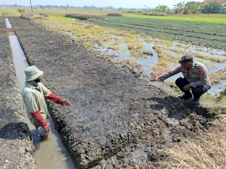 Pantau Lahan Sayuran, Polsek Tulangan Dukung Ketahanan Pangan Warga